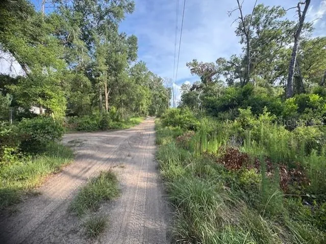 a view of a pathway both side of yard