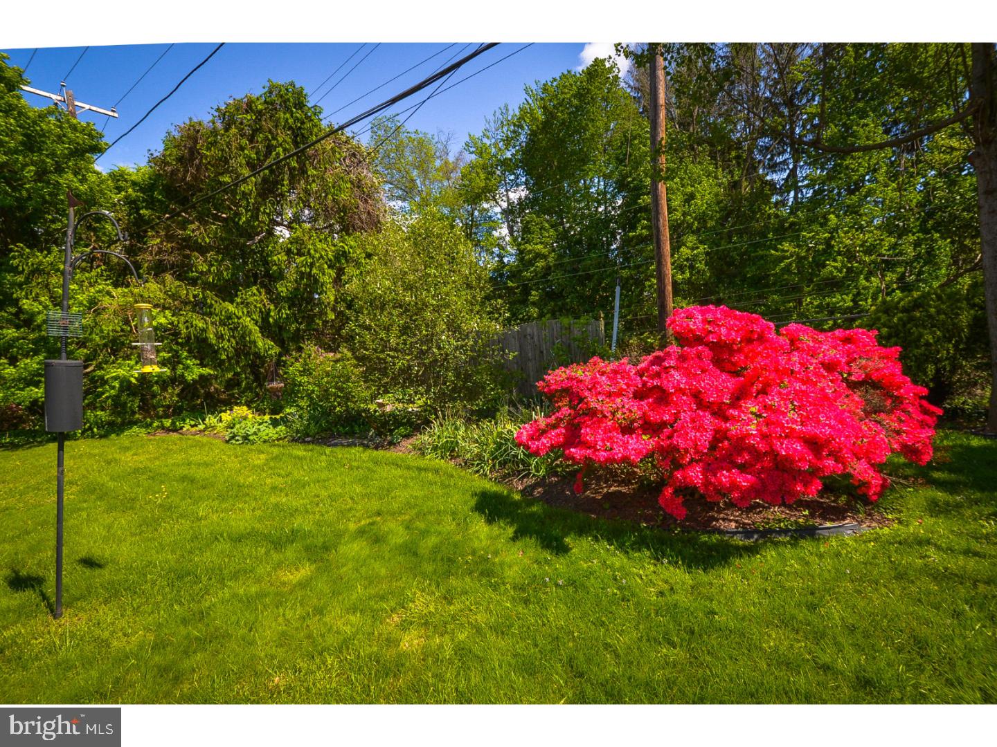 641 Wanamaker Road Jenkintown, PA 19046 - Photo 5 of 25 Back Yard