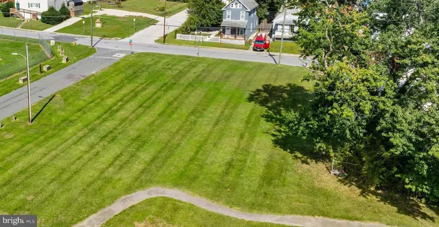 a view of a field with a tree