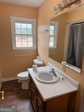 a bathroom with a sink a toilet and mirror