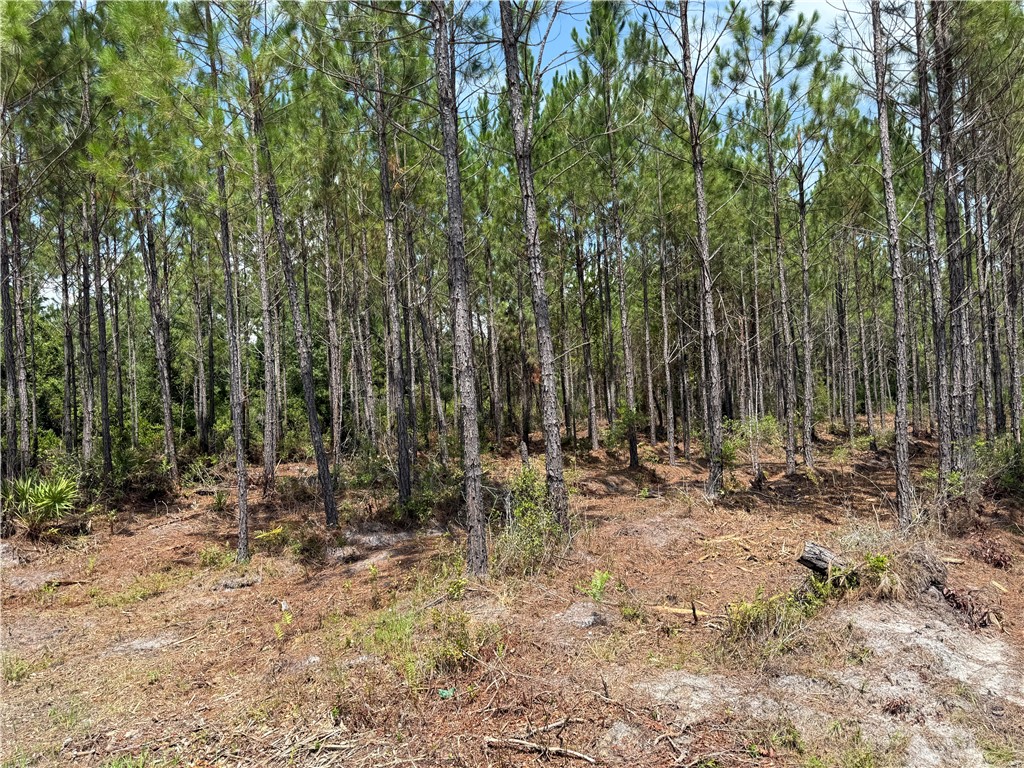 6 Corbitt Road Manor, GA 31550 - Photo 2 of 5