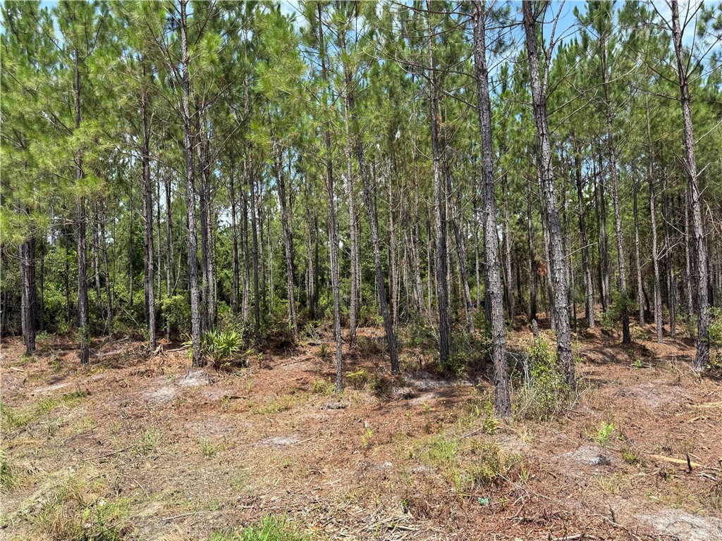 6 Corbitt Road Manor, GA 31550 - Photo 3 of 5