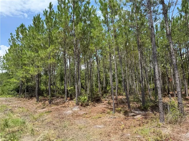 $112,875 | 6 Corbitt Road, Manor, GA 31550