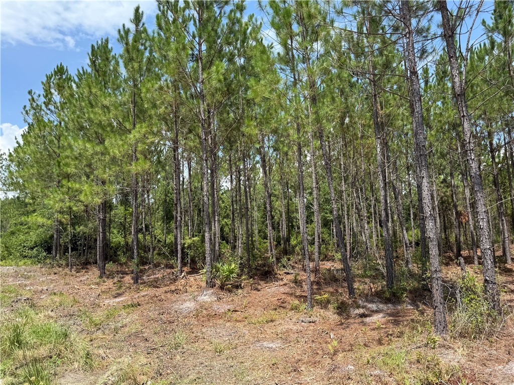 6 Corbitt Road Manor, GA 31550 - Photo 4 of 5