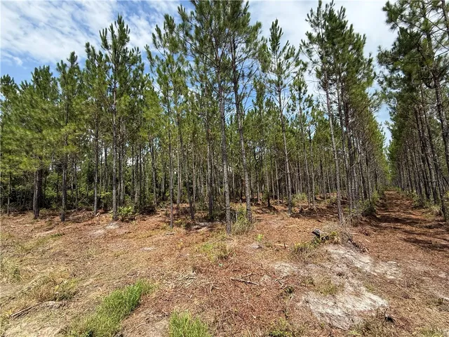 $112,875 | 6 Corbitt Road, Manor, GA 31550