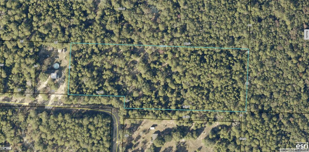 0 Rebecca Road Crestview, FL 32539 - Photo 2 of 5 a view of a lake with a tree in the background