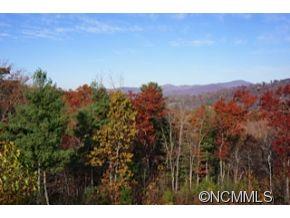 69 Dalya Road Swannanoa, NC 28778 - Photo 19 of 20 Gallery Image 19