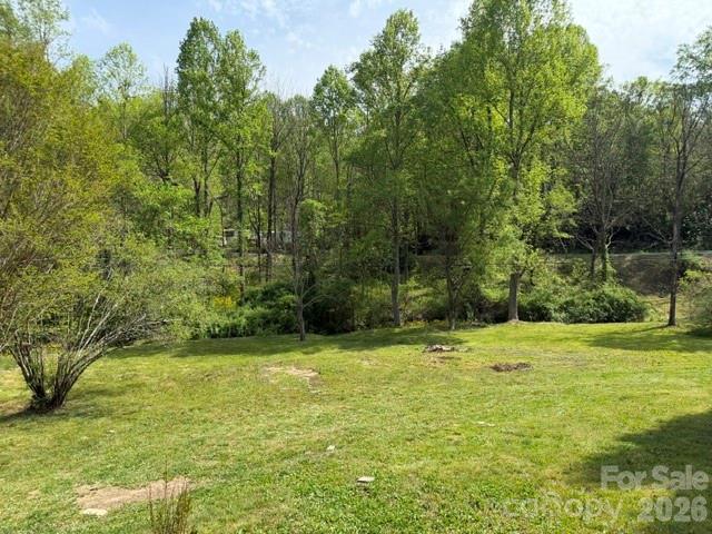 19 Streamview Lane Arden, NC 28704 - Photo 3 of 15