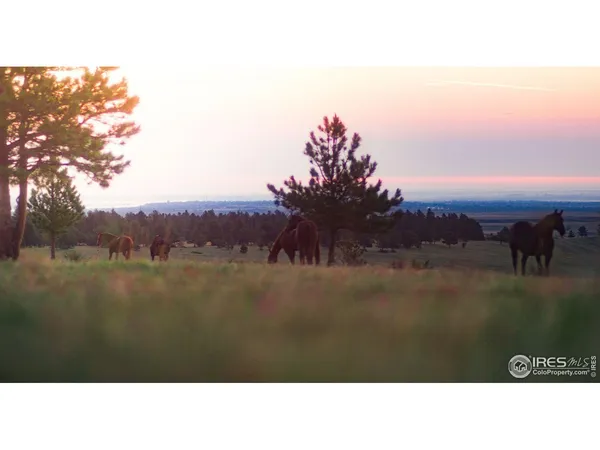 $3,900,000 | 11919 Highway 93, Boulder, CO 80303