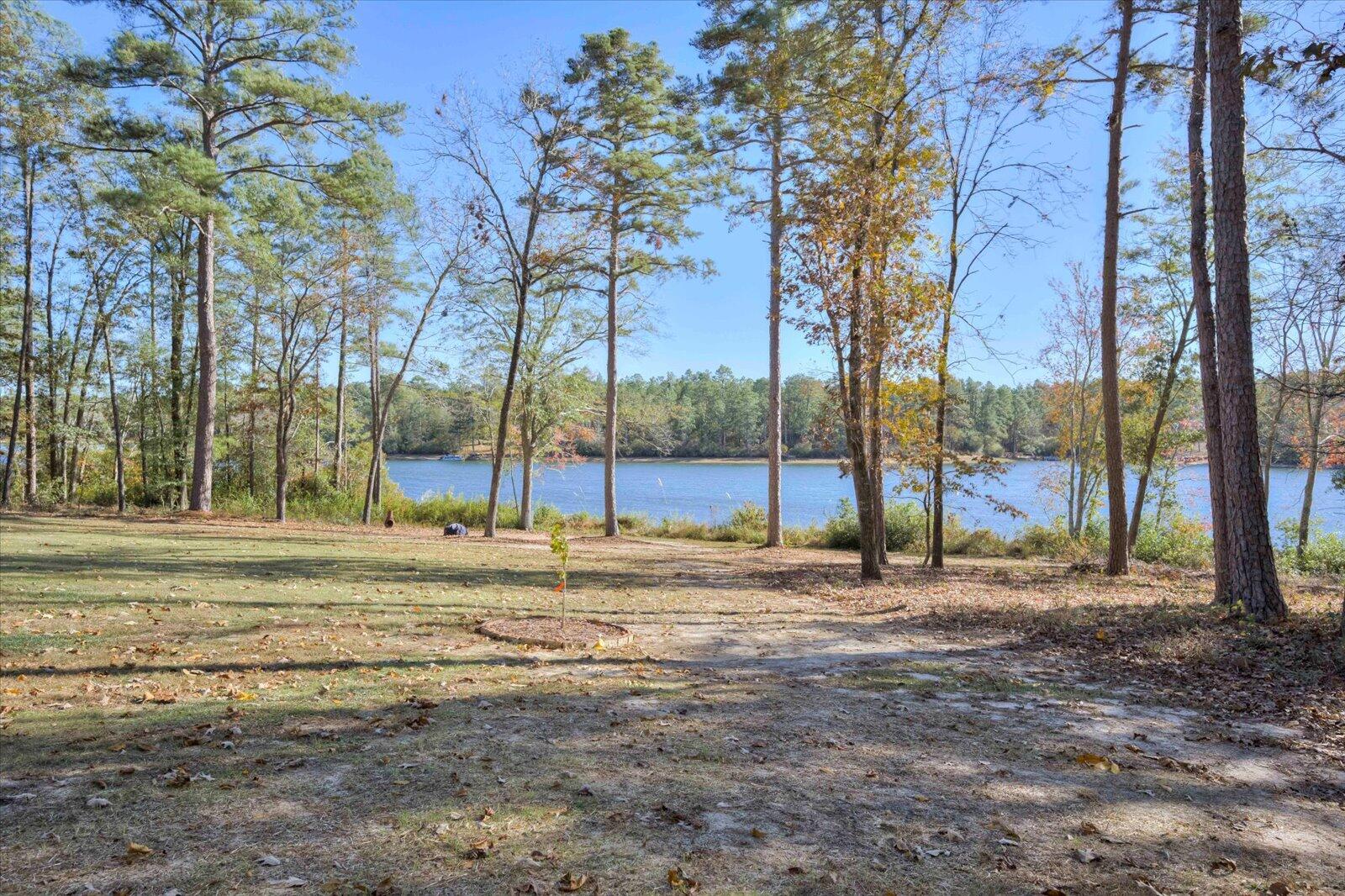 411 Edisto Lake Road Wagener, SC 29164 - Photo 60 of 72
