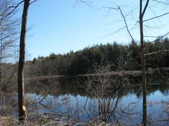 6264 Bambiland Road Mercer, WI 54547 - Photo 16 of 20 Gallery Image 16