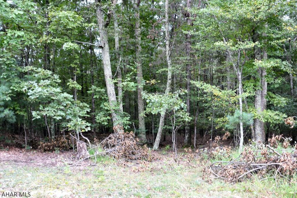 0 Pine Hill Road Artemas, PA 17211 - Photo 8 of 25