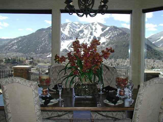 476 Wright Road Aspen, CO 81612 - Photo 3 of 9 Additional Photo