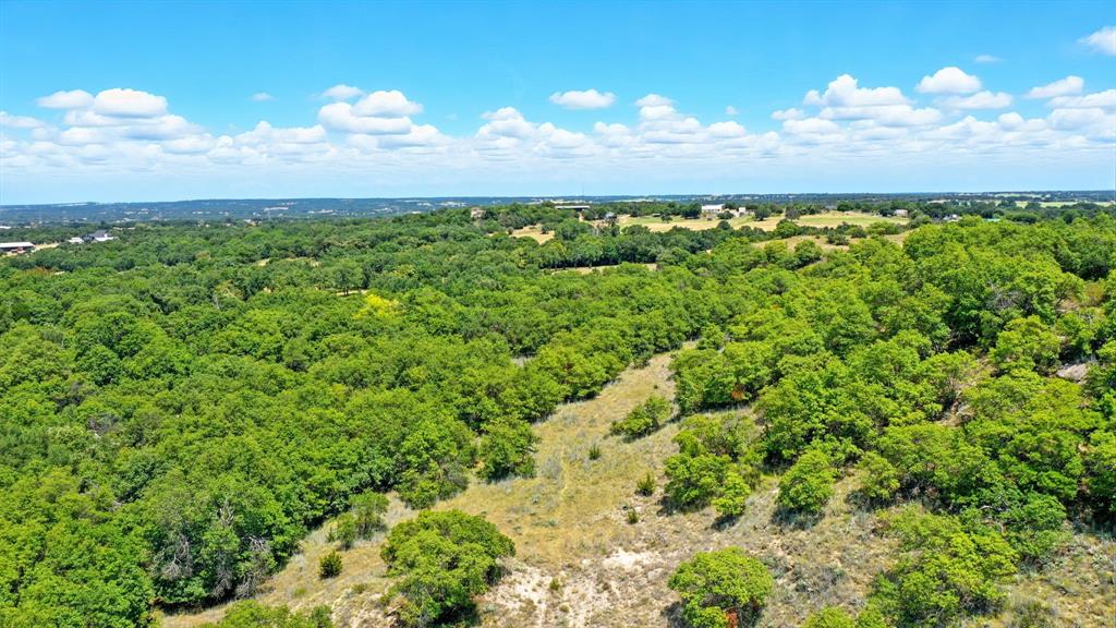 395 Pepper Lane Weatherford, TX 76088 - Photo 14 of 24 Drone / aerial view of a forest