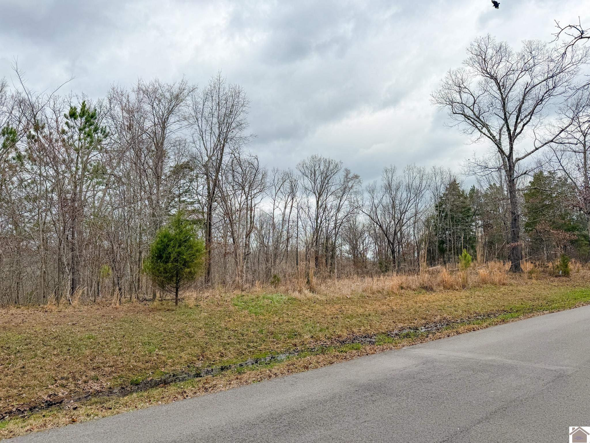 Haynes Cemetery Road Murray, KY 42071 - Photo 2 of 19 Photo 2