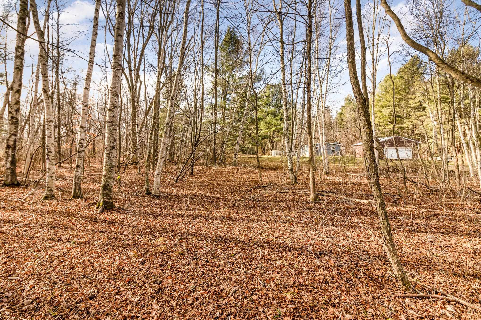 2250 East Haskell Lake Road Harrison, MI 48625 - Photo 31 of 38 Gallery Image 31