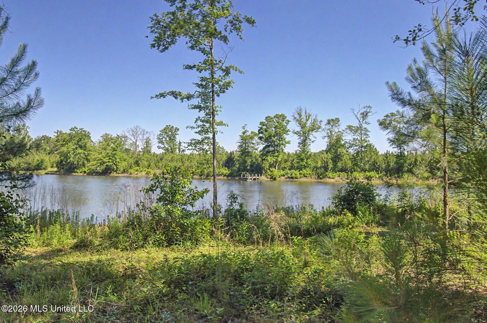 271 Shadeville Road Wiggins, MS 39577 - Photo 36 of 45 IMG_5799