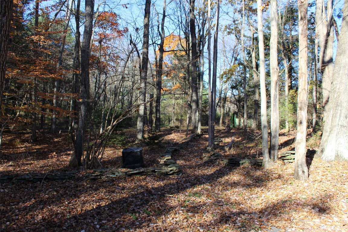 262 Ridgefield Road Endicott, NY 13760 - Photo 9 of 35 Gallery Image 9