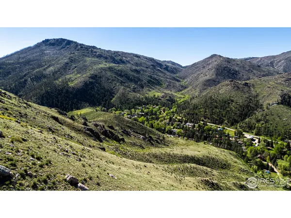 a view of a mountain in the distance tree