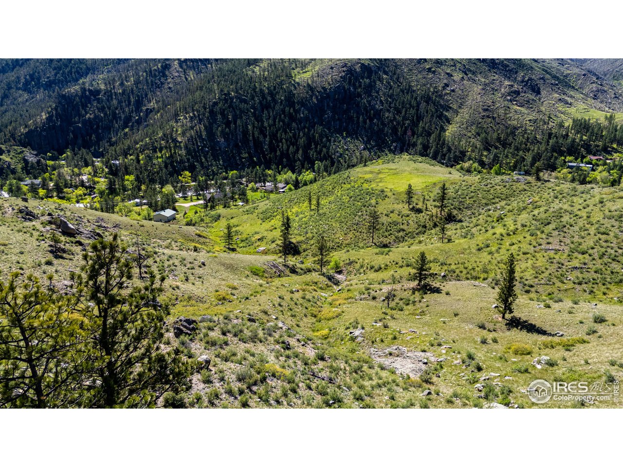 0 Wild River Road Bellvue, CO 80512 - Photo 13 of 14 a picture of a park