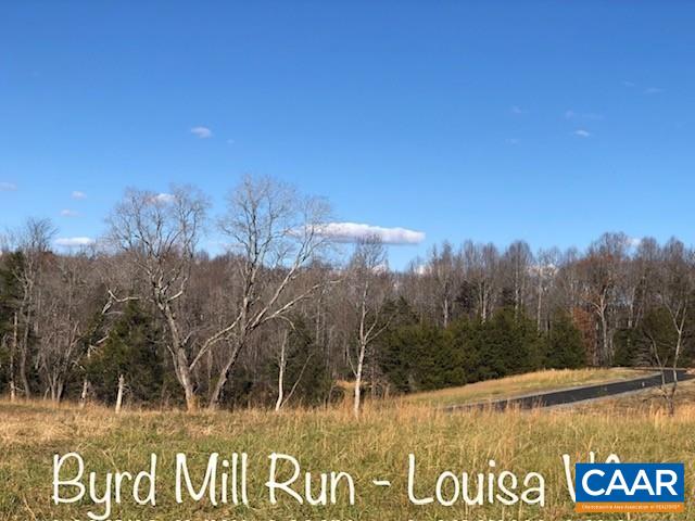 115 Bacon Bit Lane Louisa, VA 23093 - Photo 2 of 29 a view of a park