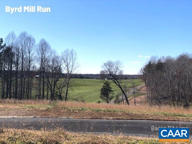 115 Bacon Bit Lane Louisa, VA 23093 - Photo 4 of 29 a view of a park with large trees