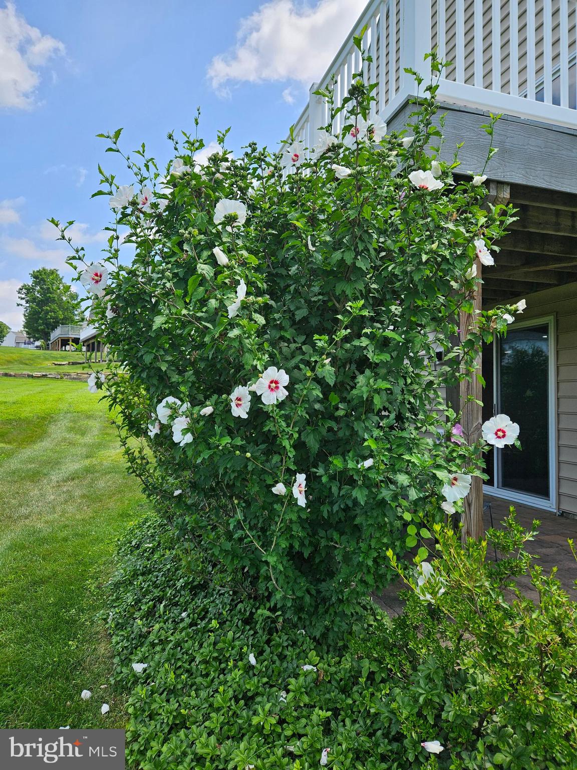 521 Gilmer Road Coatesville, PA 19320 - Photo 77 of 86 Gallery Image 77