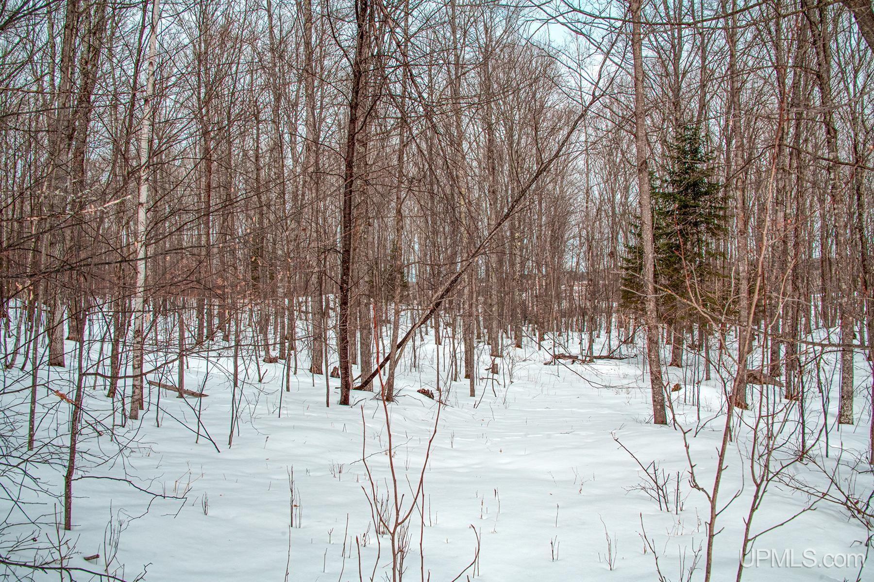 186 Osterlund Road Iron River, MI 49935 - Photo 26 of 38 Gallery Image 26