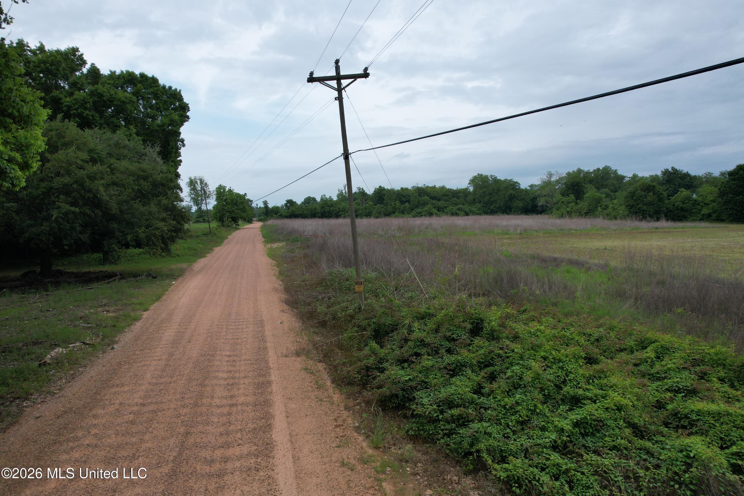 Lake Mary Road Woodville, MS 39669 - Photo 29 of 39 DJI_0996