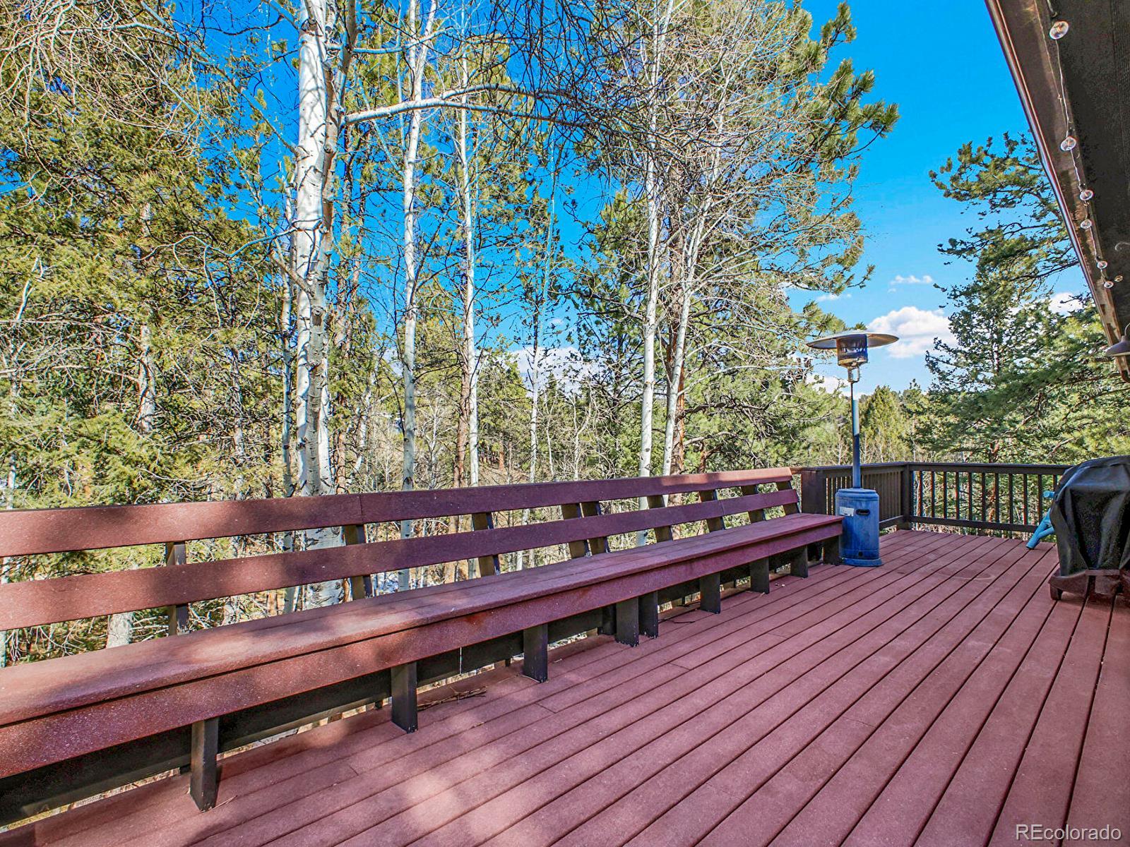 638 Impala Trail Bailey, CO 80421 - Photo 31 of 50