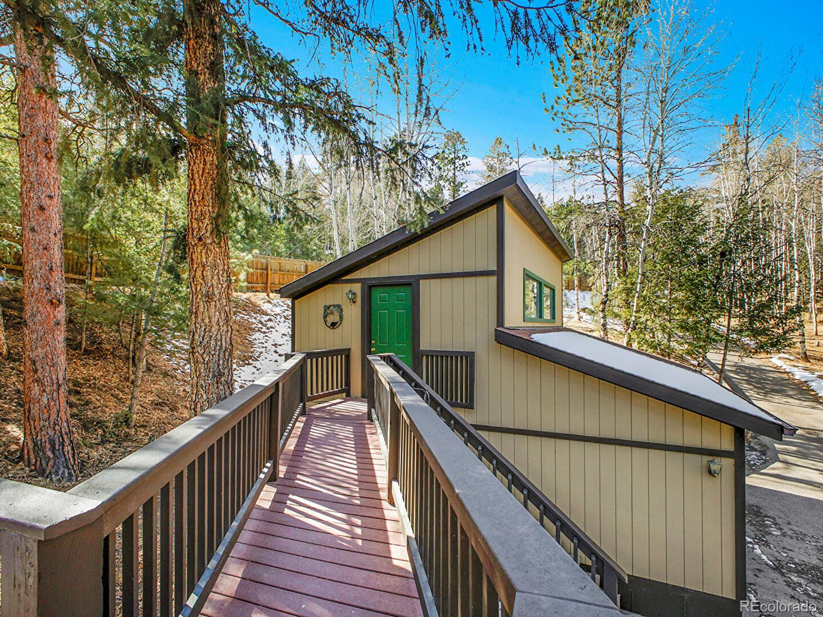 638 Impala Trail Bailey, CO 80421 - Photo 36 of 50