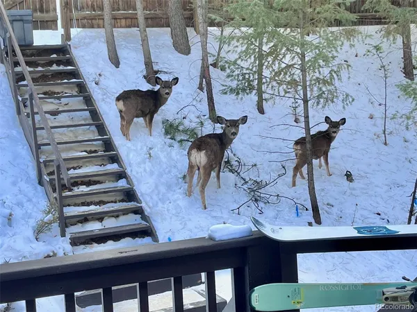 $575,000 | 638 Impala Trail, Bailey, CO 80421