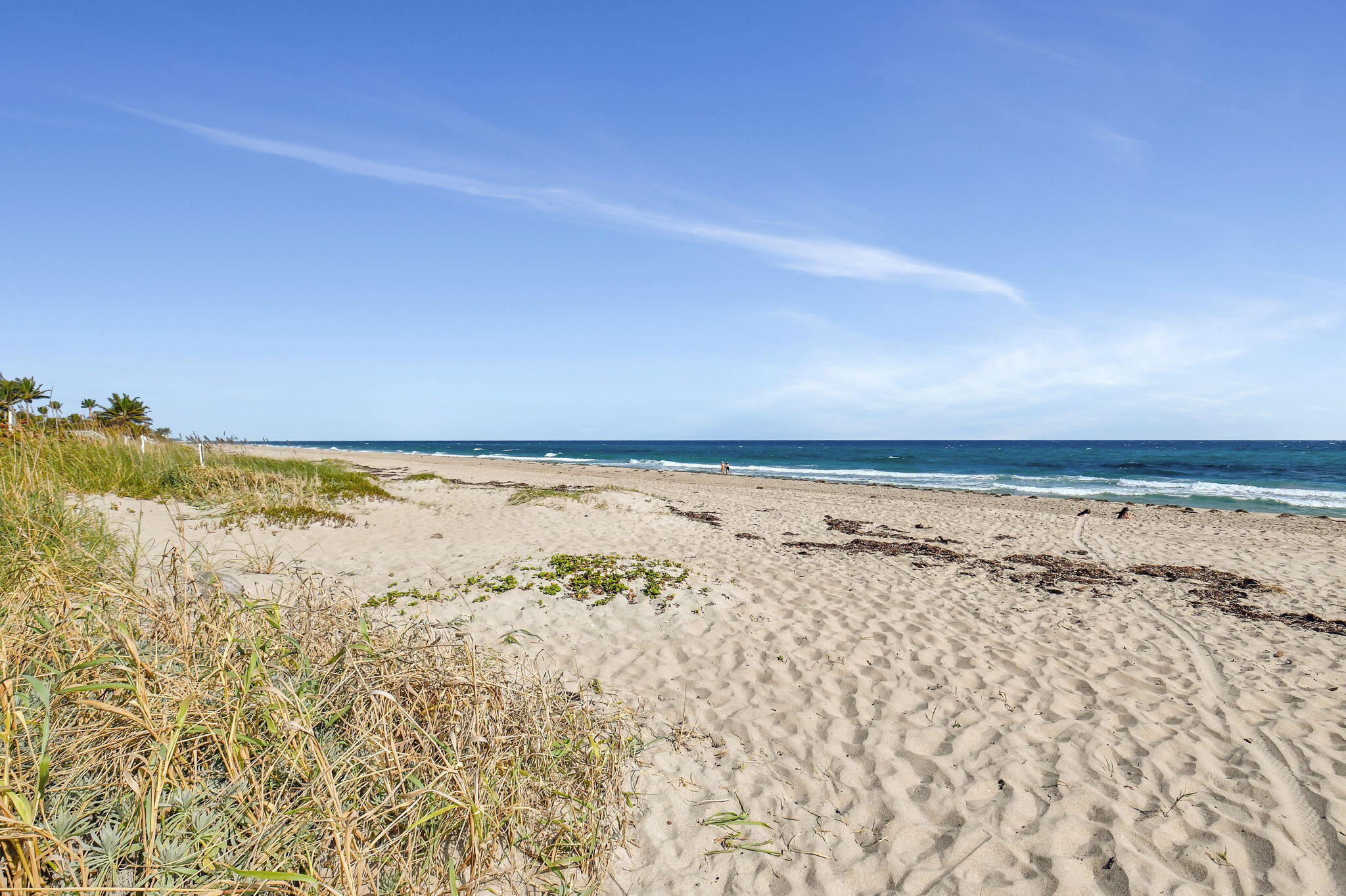 5015 Old Ocean Boulevard Ocean Ridge, FL 33435 - Photo 42 of 47 42-web-or-mls-DSC_9803