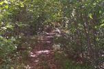 6398 Townsend Road East Jordan, MI 49727 - Photo 4 of 4 Gallery Image 4