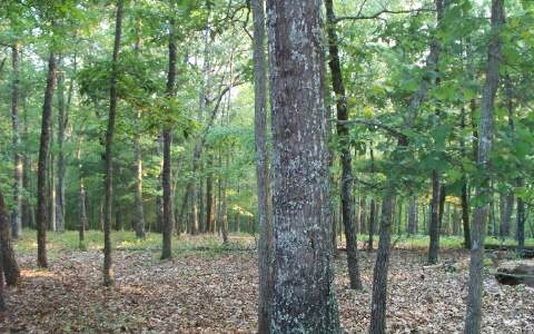 Foster Road Blairsville, GA 30512 - Photo 1 of 1 Main View