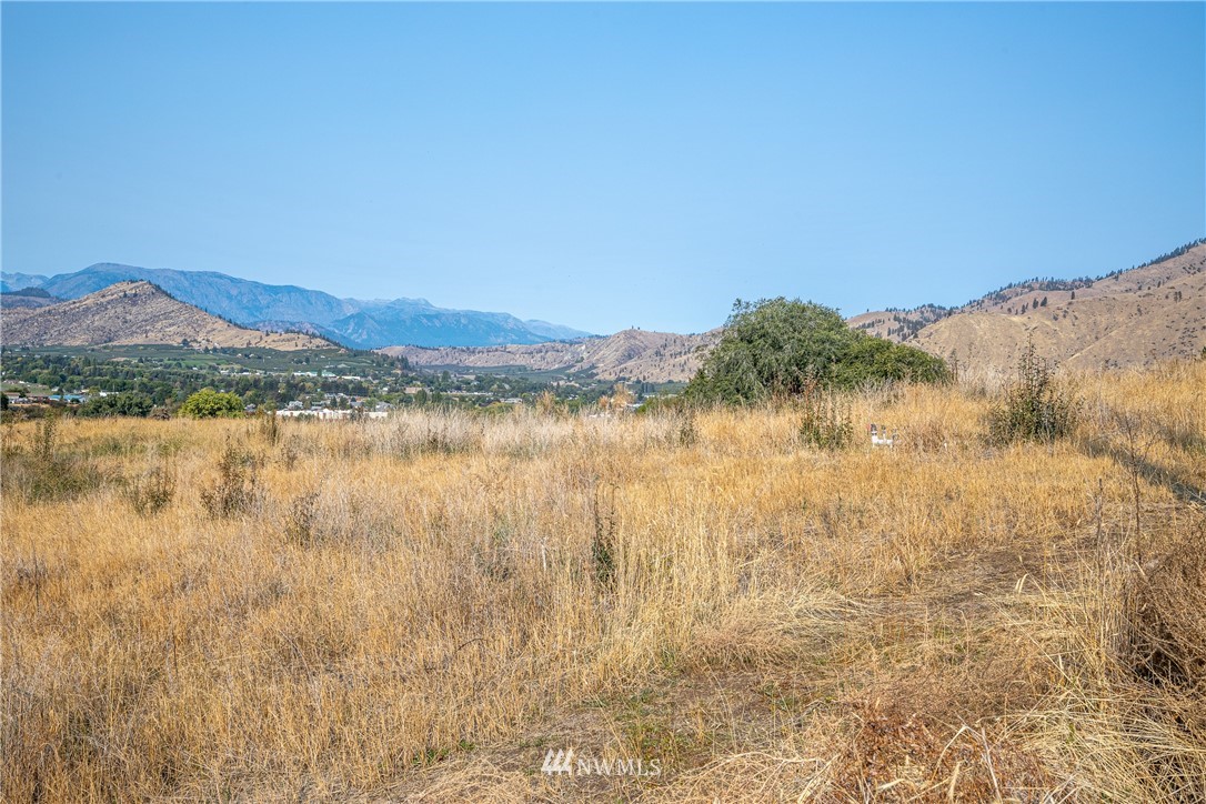 0 Rank Road Cashmere, WA 98815 - Photo 5 of 11 Gallery Image 5