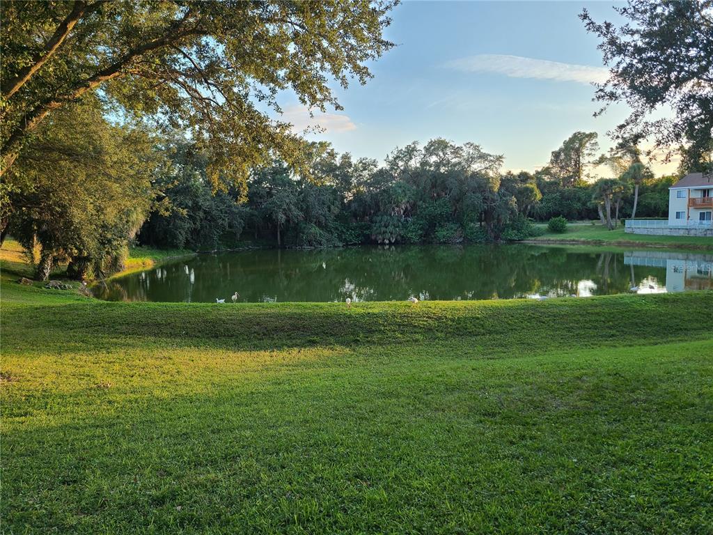 6750 Moonglow Drive, Unit 102 Port Richey, FL 34668 - Photo 25 of 26 a view of a lake