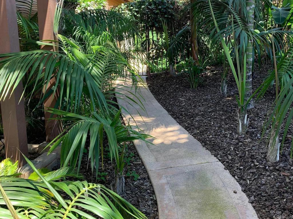 714 Passiflora Avenue, Unit S Encinitas, CA 92024 - Photo 1 of 16 a view of outdoor space with trees