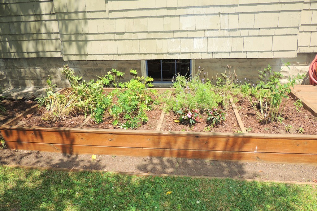 165 Marsden Street Springfield, MA 01109 - Photo 26 of 30 a view of a garden