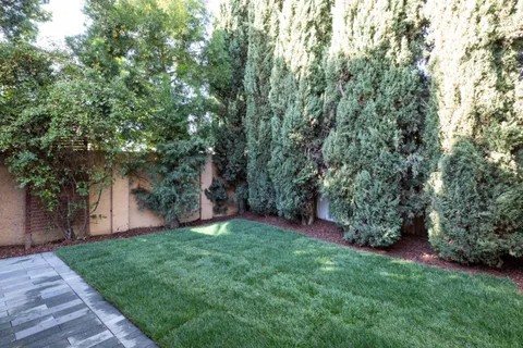 a view of a backyard with a large tree