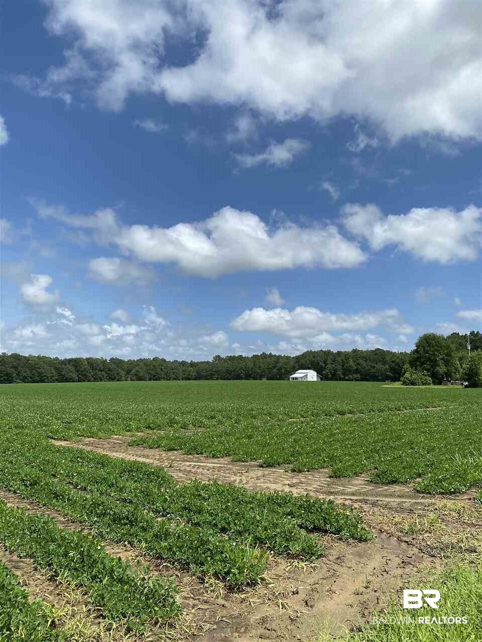 19380 Rada Road Silverhill, AL 36576 - Photo 3 of 6
