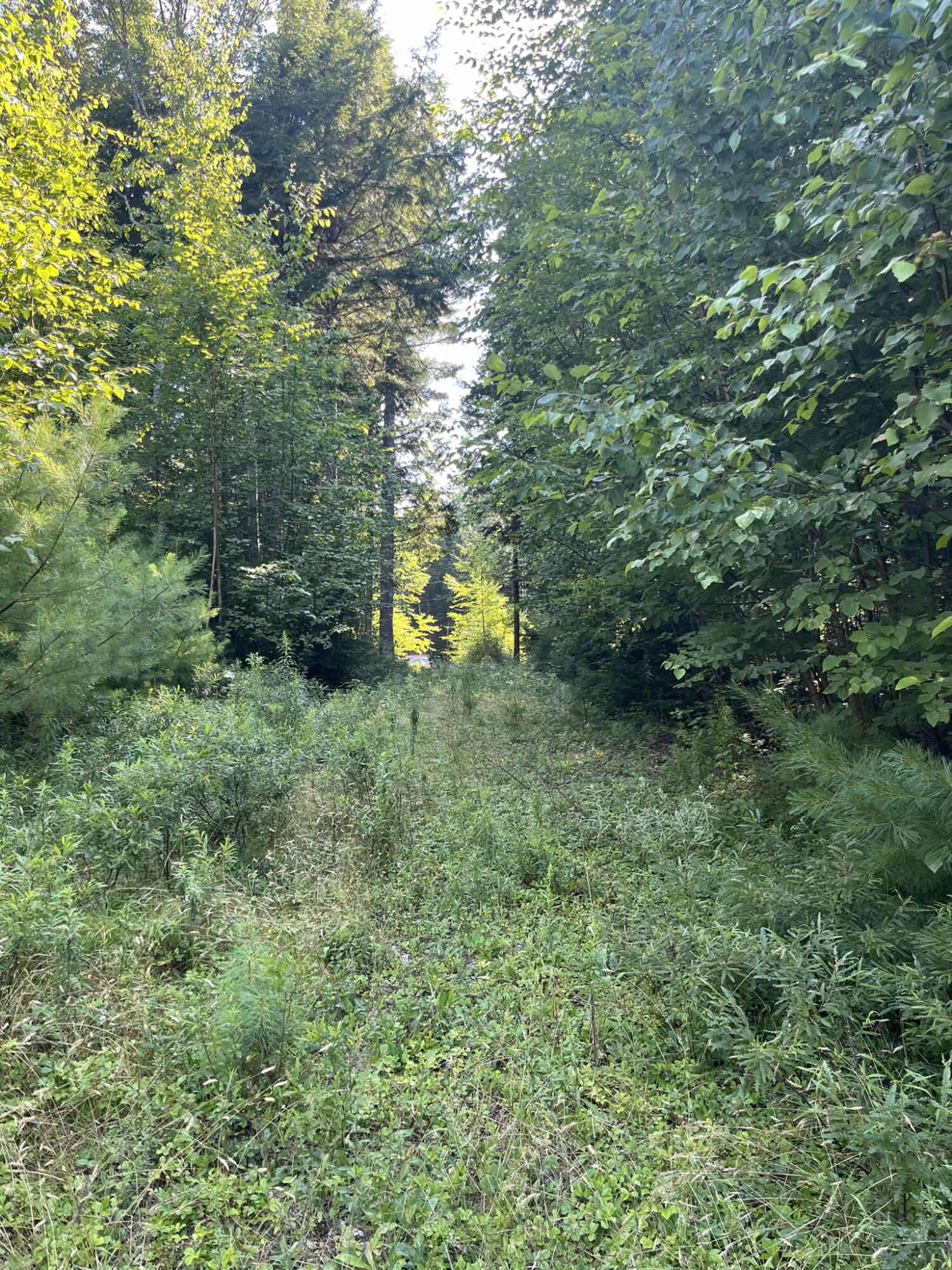 Lot 3 Peaceful Point Road Ellsworth, ME 04605 - Photo 10 of 12 DC8224A7-3072-4624-AE93-D62A3CC5CE6E_1_1