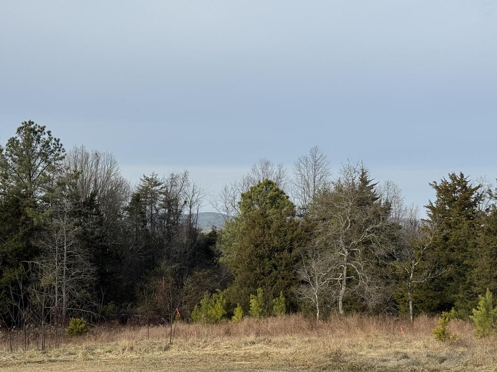 Watt Abbitt Road Appomattox, VA 24522 - Photo 19 of 20 Gallery Image 19