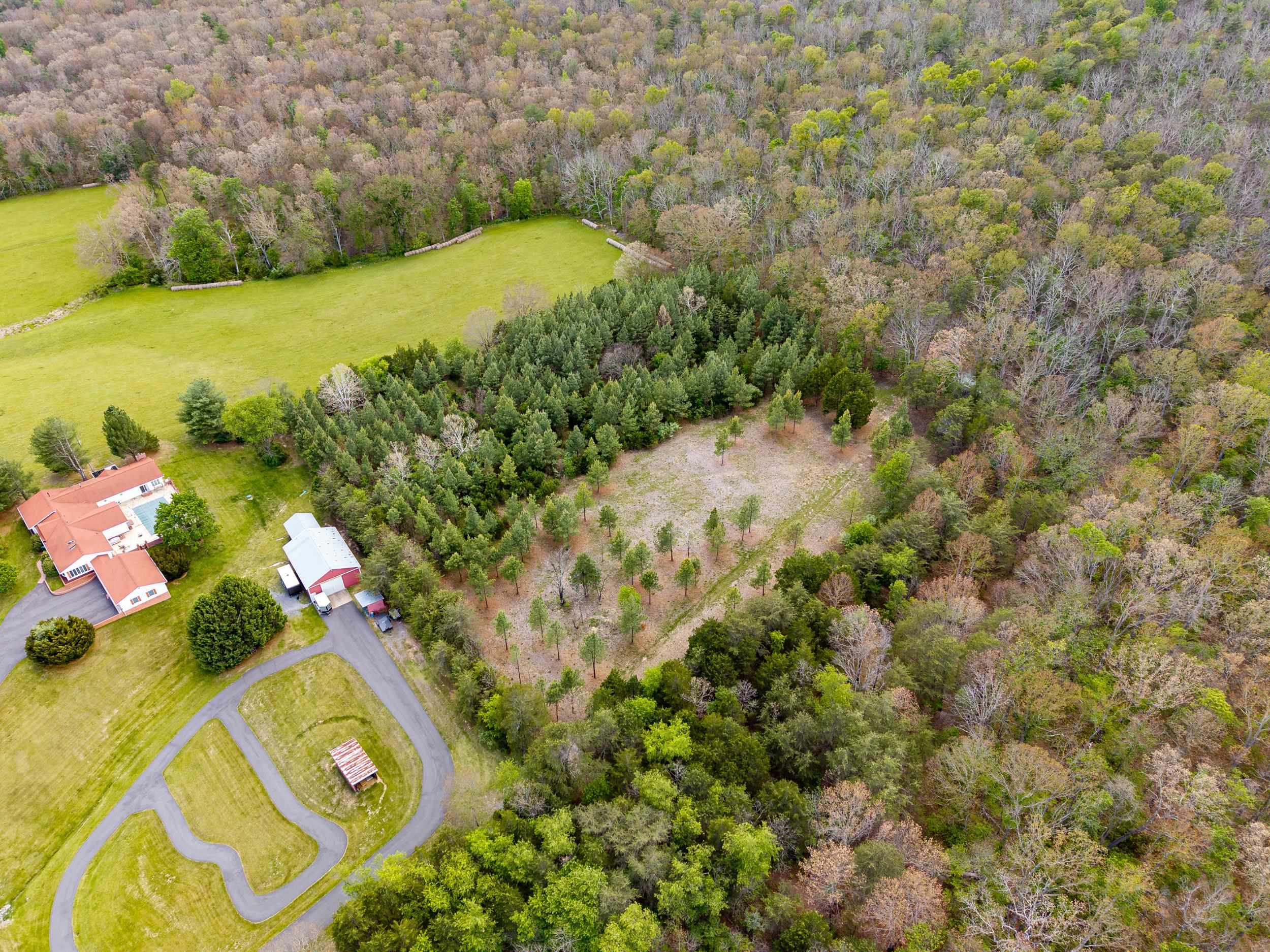 0 Boliver Road Fort Valley, VA 22652 - Photo 14 of 55 a view of a garden with plants and large trees