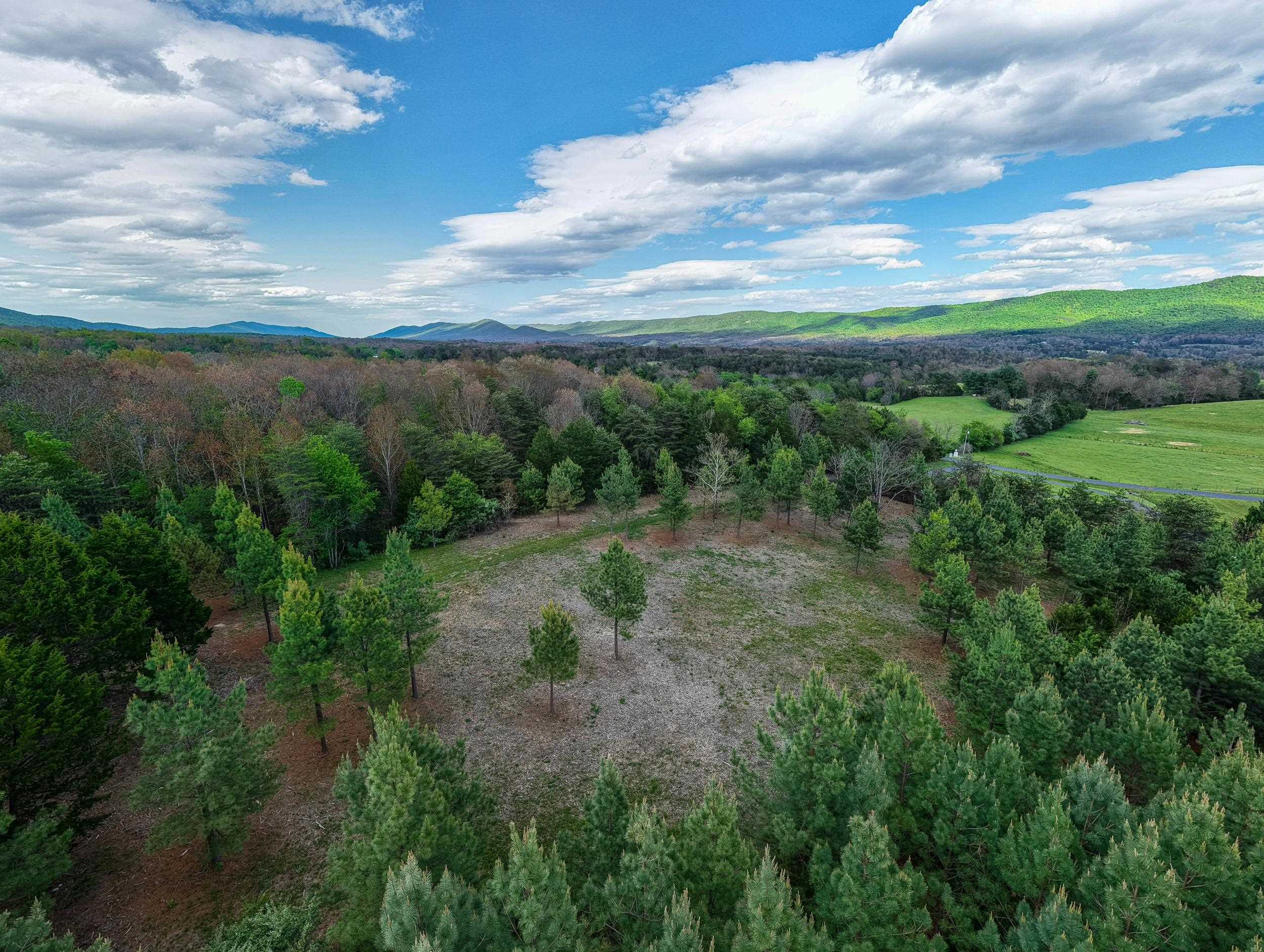 0 Boliver Road Fort Valley, VA 22652 - Photo 22 of 55 a view of a green field with lots of bushes