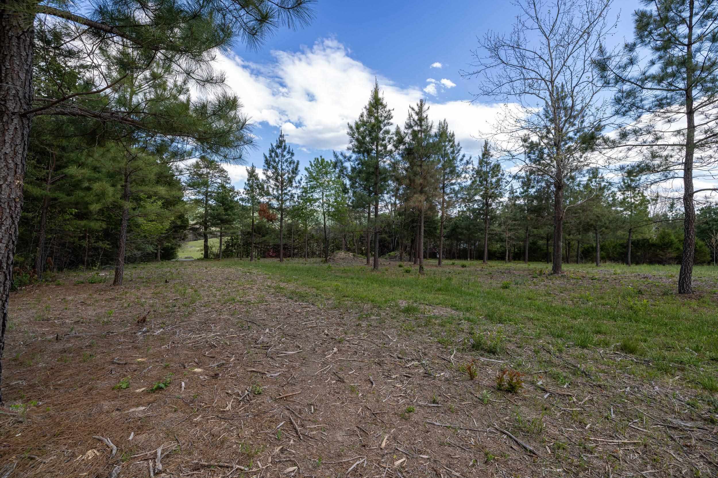 0 Boliver Road Fort Valley, VA 22652 - Photo 28 of 55 a view of outdoor space with trees