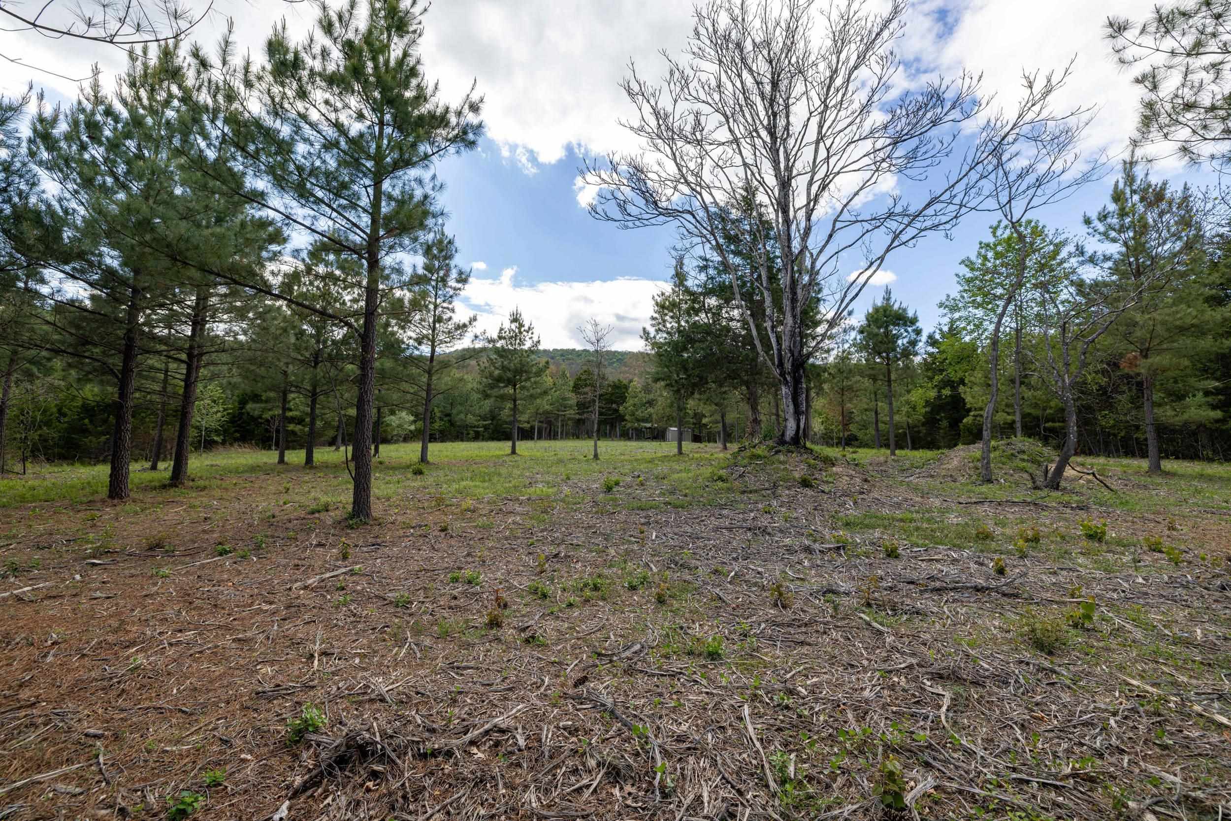 0 Boliver Road Fort Valley, VA 22652 - Photo 33 of 55 a view of a yard with tree s
