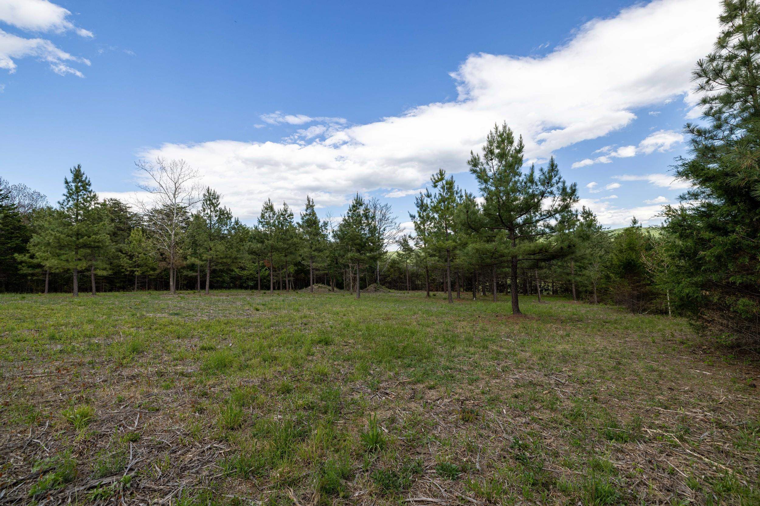 0 Boliver Road Fort Valley, VA 22652 - Photo 36 of 55 a view of outdoor space and yard