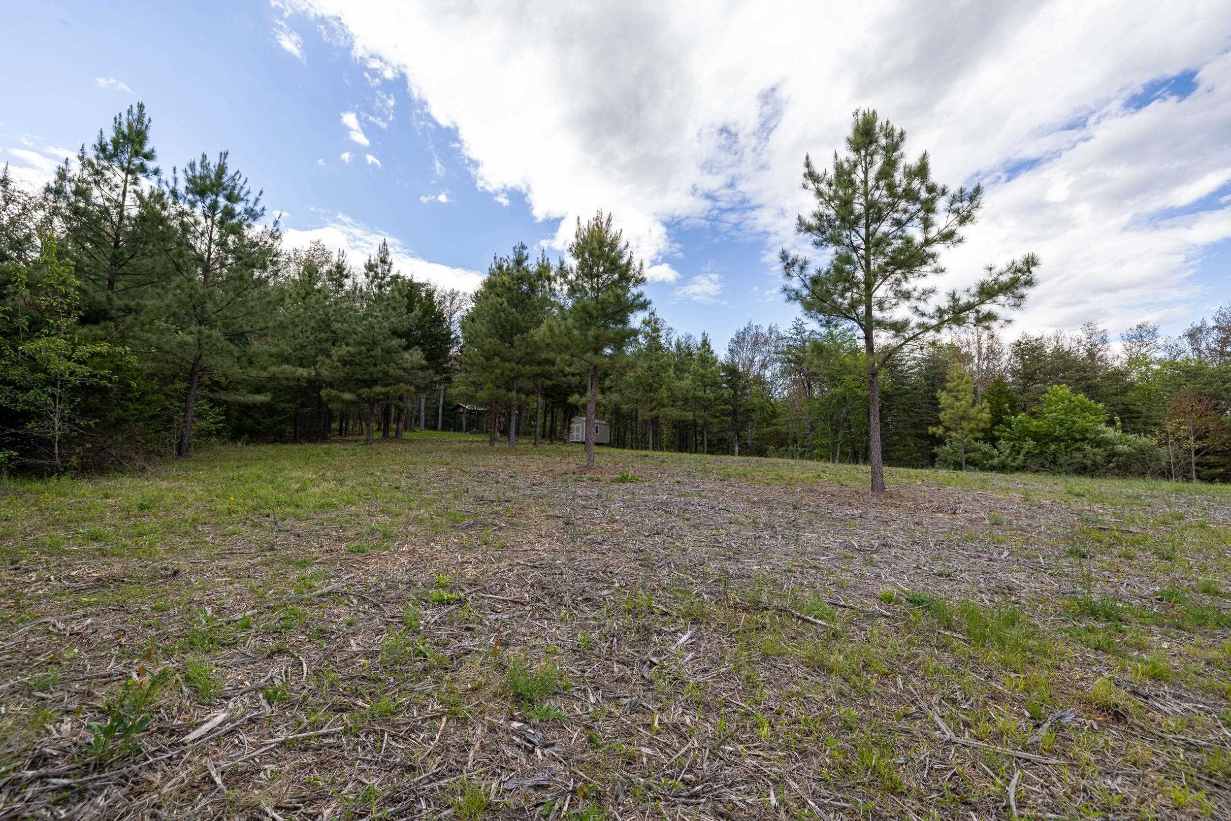 0 Boliver Road Fort Valley, VA 22652 - Photo 37 of 55 a view of outdoor space and yard