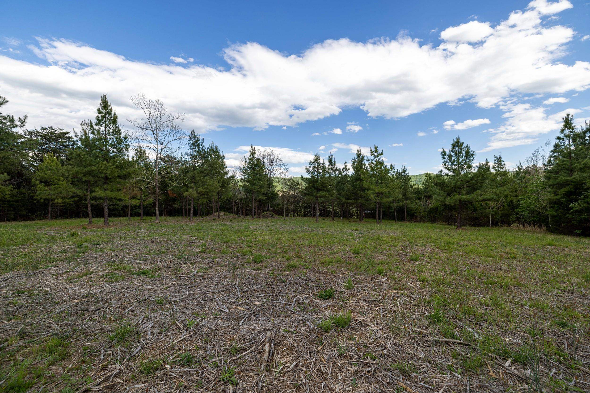 0 Boliver Road Fort Valley, VA 22652 - Photo 38 of 55 a view of outdoor space with field and trees